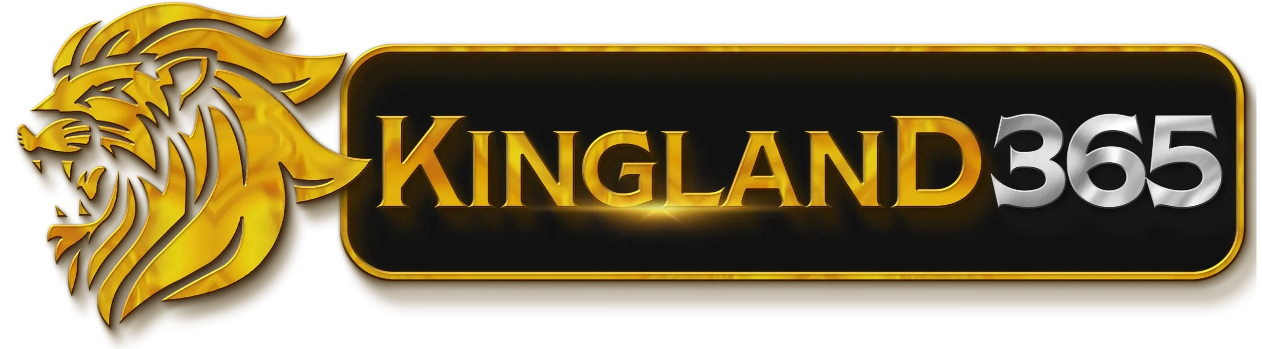 kingland365